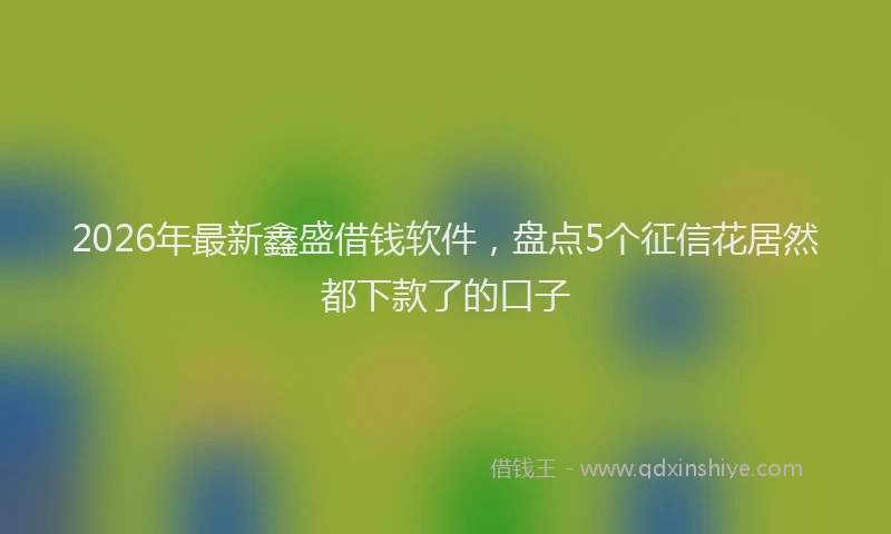 2026年最新鑫盛借钱软件，盘点5个征信花居然都下款了的口子