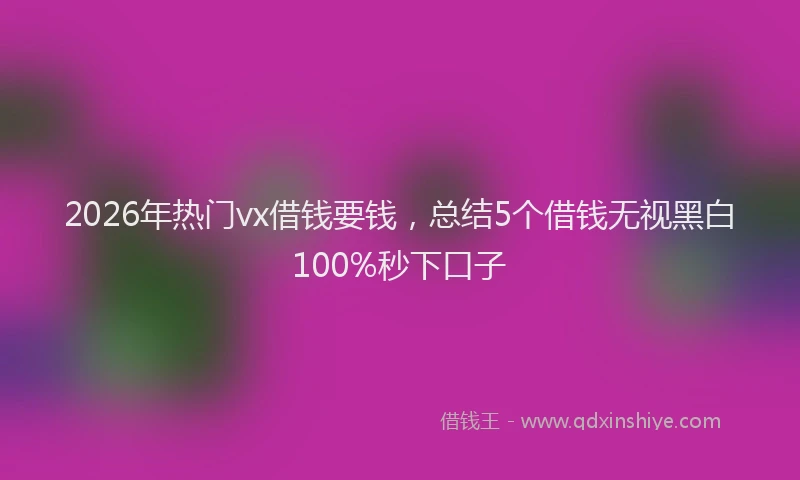 2026年热门vx借钱要钱，总结5个借钱无视黑白100%秒下口子