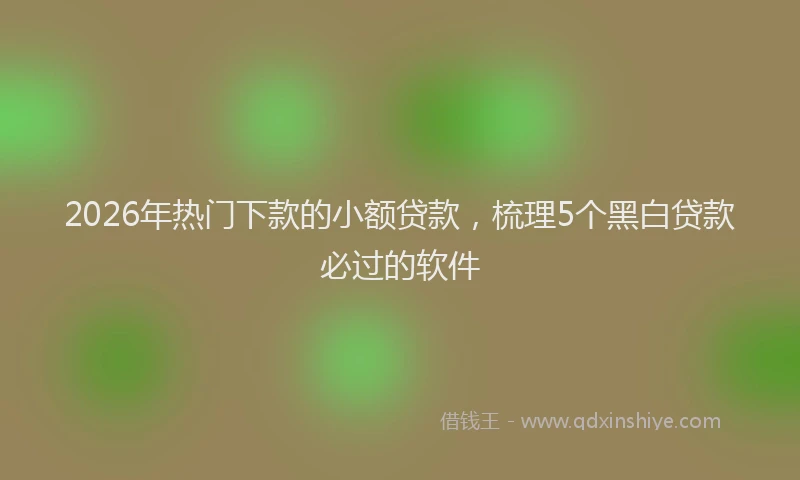 2026年热门下款的小额贷款，梳理5个黑白贷款必过的软件