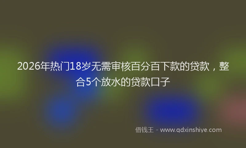 2026年热门18岁无需审核百分百下款的贷款，整合5个放水的贷款口子