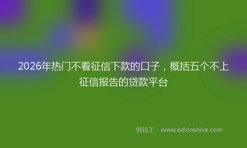 2026年热门不看征信下款的口子，概括五个不上征信报告的贷款平台