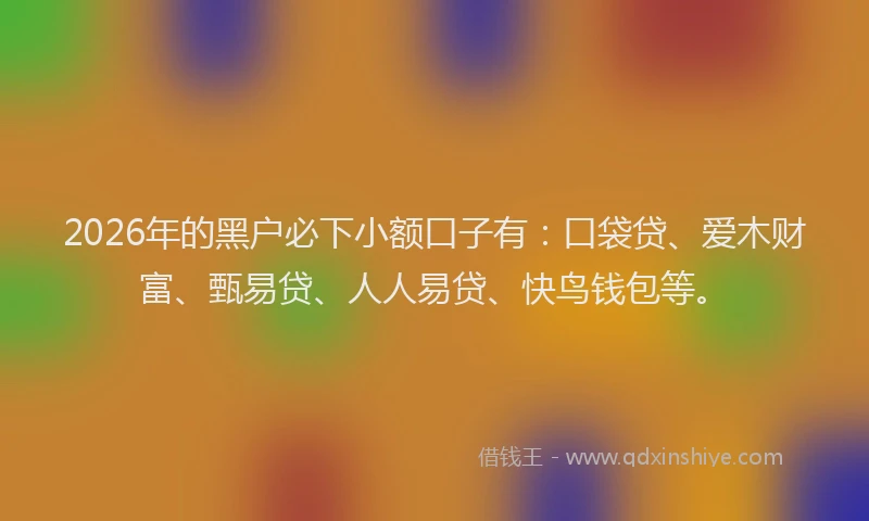 2026年的黑户必下小额口子有：口袋贷、爱木财富、甄易贷、人人易贷、快鸟钱包等。