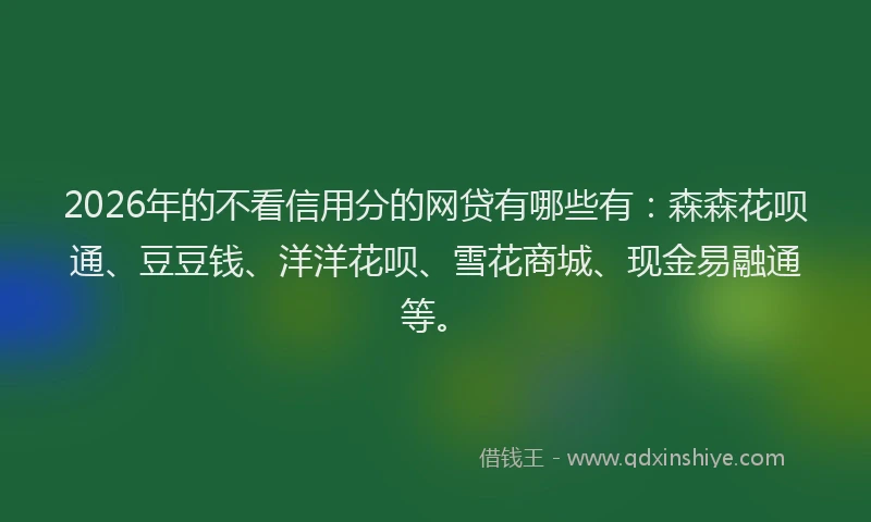 2026年的不看信用分的网贷有哪些有：森森花呗通、豆豆钱、洋洋花呗、雪花商城、现金易融通等。