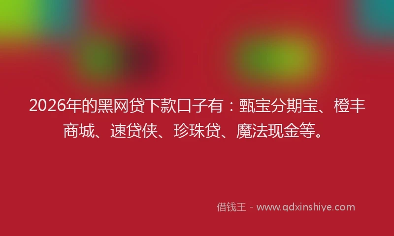 2026年的黑网贷下款口子有：甄宝分期宝、橙丰商城、速贷侠、珍珠贷、魔法现金等。