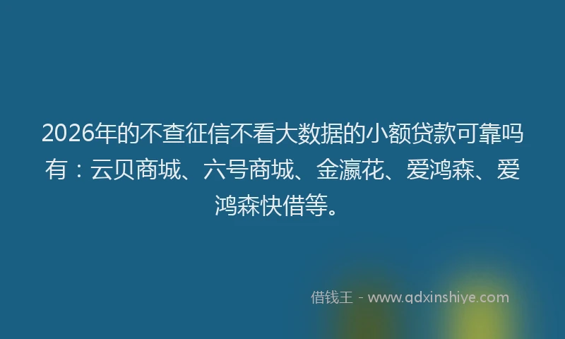 2026年的不查征信不看大数据的小额贷款可靠吗有：云贝商城、六号商城、金瀛花、爱鸿森、爱鸿森快借等。