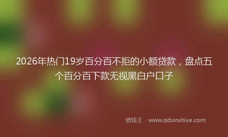 2026年热门19岁百分百不拒的小额贷款，盘点五个百分百下款无视黑白户口子
