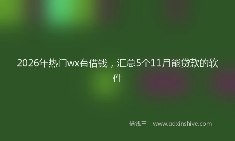 2026年热门wx有借钱，汇总5个11月能贷款的软件
