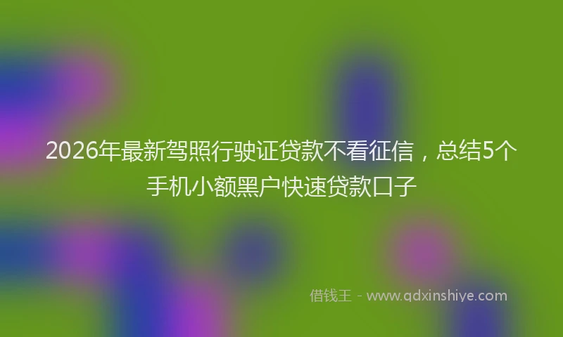 2026年最新驾照行驶证贷款不看征信，总结5个手机小额黑户快速贷款口子