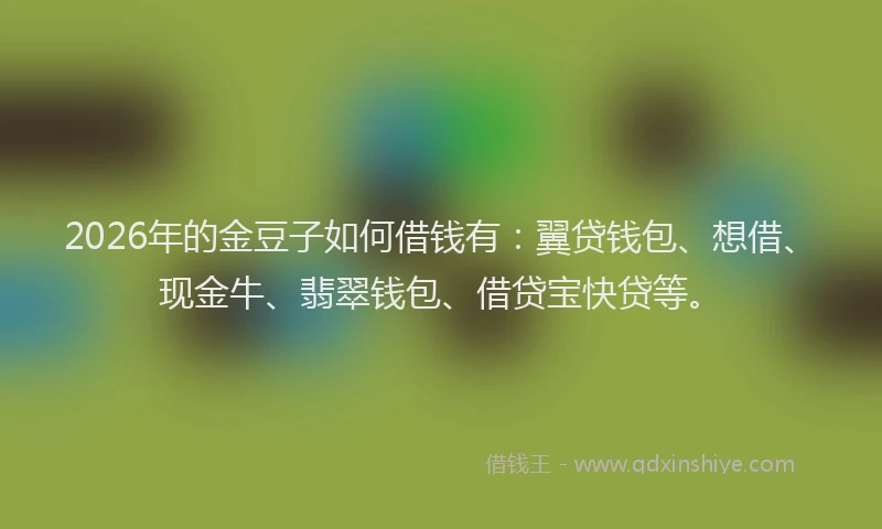 2026年的金豆子如何借钱有：翼贷钱包、想借、现金牛、翡翠钱包、借贷宝快贷等。