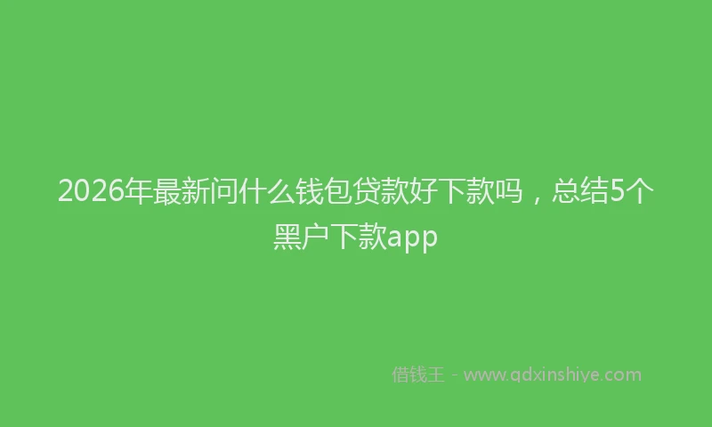 2026年最新问什么钱包贷款好下款吗，总结5个黑户下款app