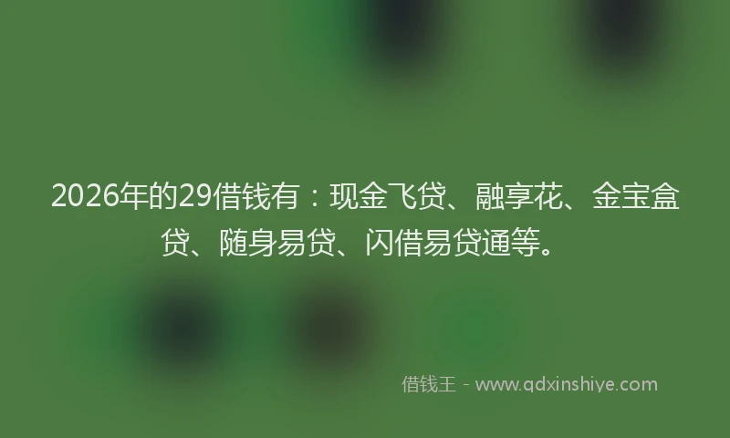 2026年的29借钱有：现金飞贷、融享花、金宝盒贷、随身易贷、闪借易贷通等。