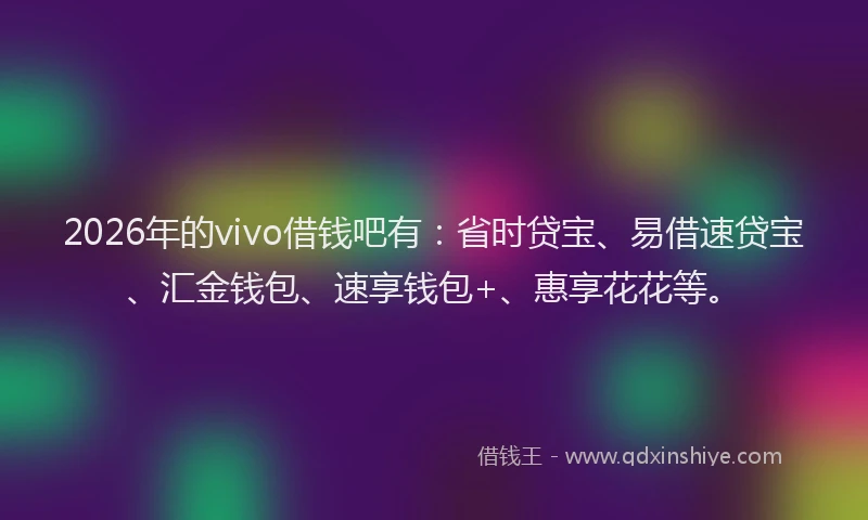 2026年的vivo借钱吧有：省时贷宝、易借速贷宝、汇金钱包、速享钱包+、惠享花花等。