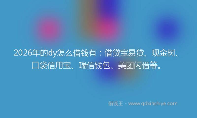 2026年的dy怎么借钱有：借贷宝易贷、现金树、口袋信用宝、瑞信钱包、美团闪借等。