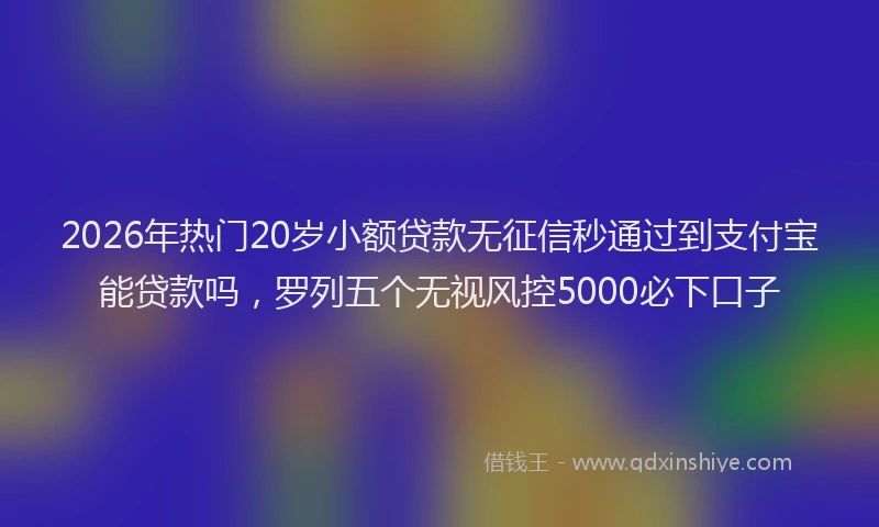 2026年热门20岁小额贷款无征信秒通过到支付宝能贷款吗，罗列五个无视风控5000必下口子