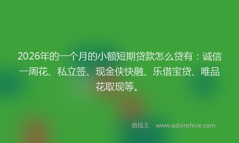 2026年的一个月的小额短期贷款怎么贷有：诚信一周花、私立签、现金侠快融、乐借宝贷、唯品花取现等。