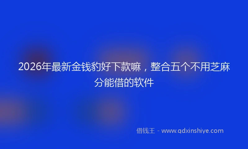 2026年最新金钱豹好下款嘛，整合五个不用芝麻分能借的软件