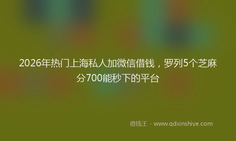 2026年热门上海私人加微信借钱，罗列5个芝麻分700能秒下的平台
