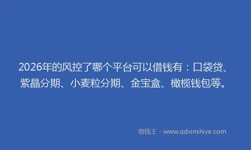 2026年的风控了哪个平台可以借钱有：口袋贷、紫晶分期、小麦粒分期、金宝盒、橄榄钱包等。