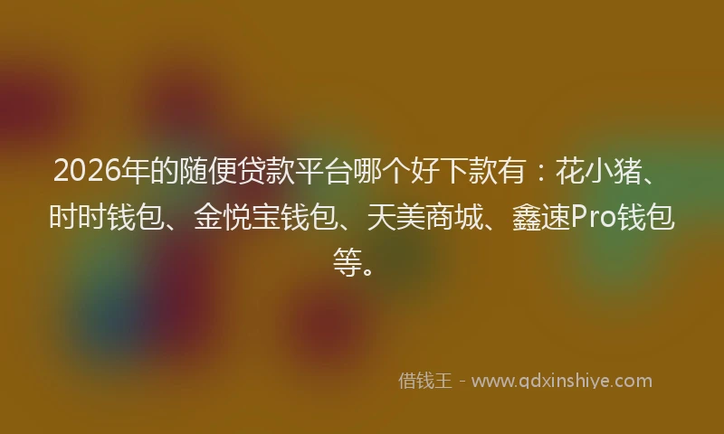 2026年的随便贷款平台哪个好下款有：花小猪、时时钱包、金悦宝钱包、天美商城、鑫速Pro钱包等。