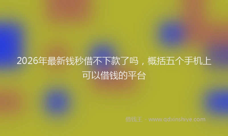2026年最新钱秒借不下款了吗，概括五个手机上可以借钱的平台