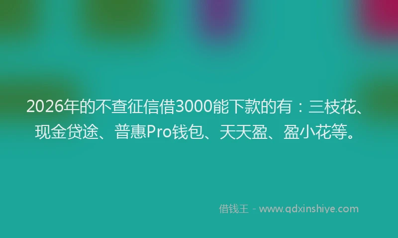 2026年的不查征信借3000能下款的有：三枝花、现金贷途、普惠Pro钱包、天天盈、盈小花等。