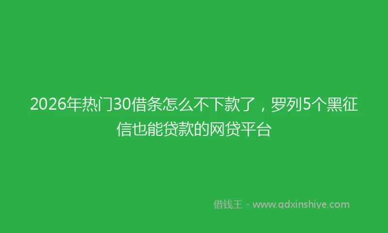 2026年热门30借条怎么不下款了，罗列5个黑征信也能贷款的网贷平台
