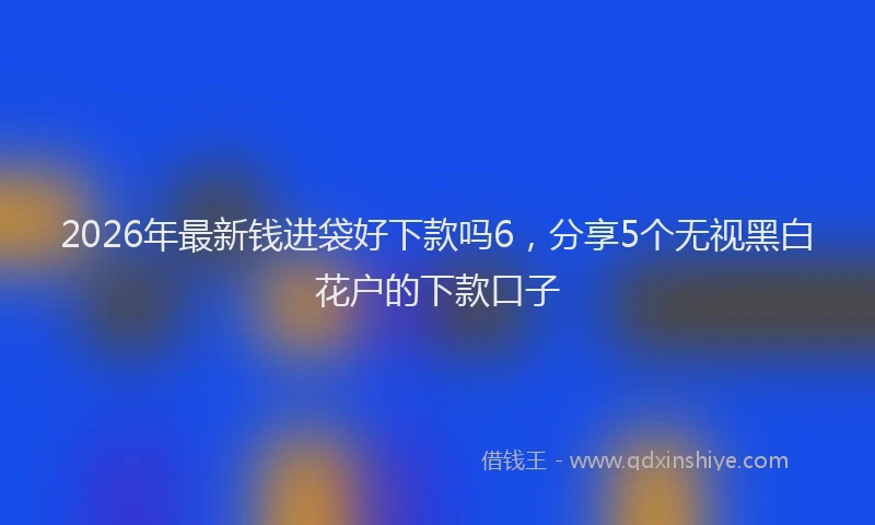 2026年最新钱进袋好下款吗6，分享5个无视黑白花户的下款口子