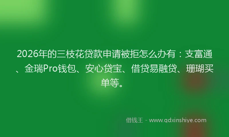 2026年的三枝花贷款申请被拒怎么办有：支富通、金瑞Pro钱包、安心贷宝、借贷易融贷、珊瑚买单等。