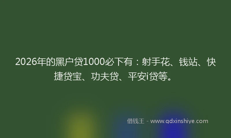 2026年的黑户贷1000必下有：射手花、钱站、快捷贷宝、功夫贷、平安i贷等。