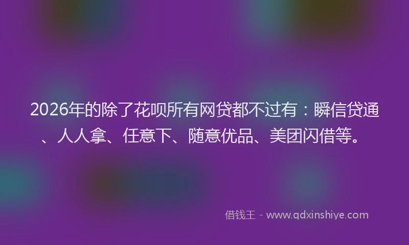 2026年的除了花呗所有网贷都不过有：瞬信贷通、人人拿、任意下、随意优品、美团闪借等。