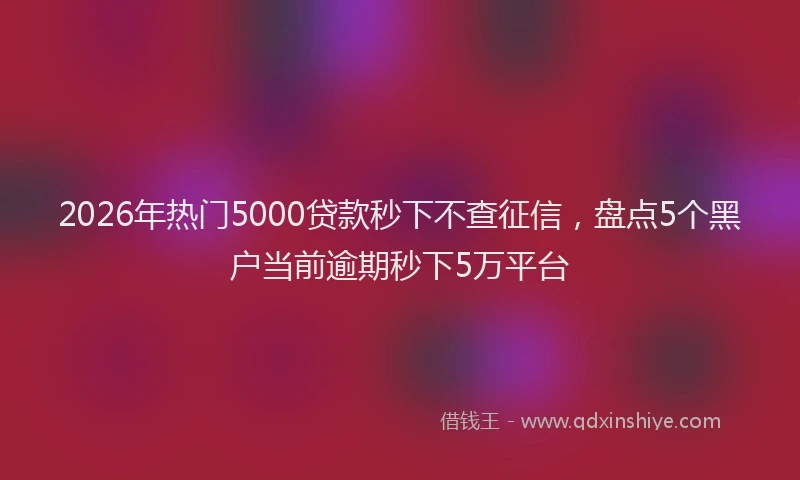 2026年热门5000贷款秒下不查征信，盘点5个黑户当前逾期秒下5万平台