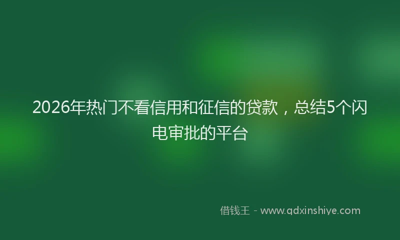 2026年热门不看信用和征信的贷款，总结5个闪电审批的平台
