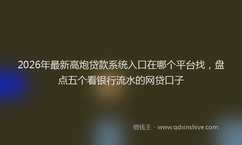 2026年最新高炮贷款系统入口在哪个平台找，盘点五个看银行流水的网贷口子