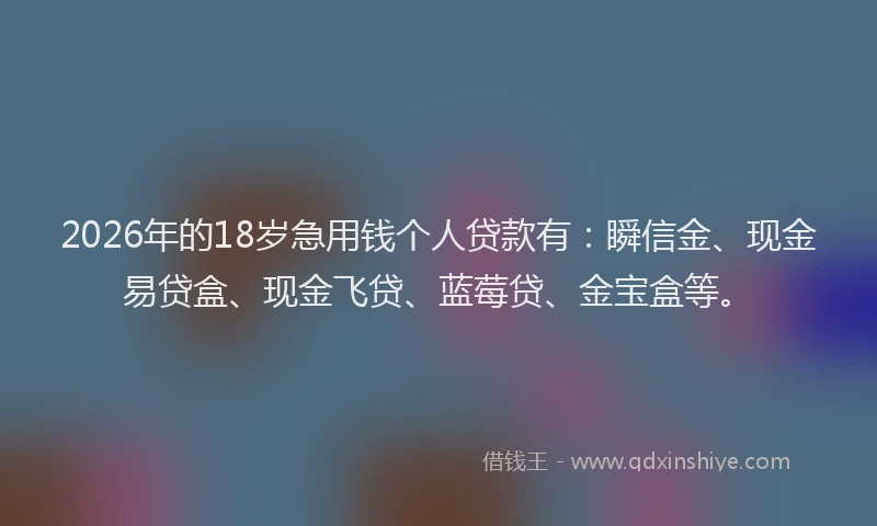 2026年的18岁急用钱个人贷款有：瞬信金、现金易贷盒、现金飞贷、蓝莓贷、金宝盒等。