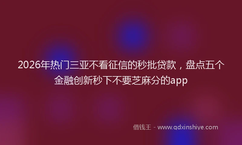 2026年热门三亚不看征信的秒批贷款，盘点五个金融创新秒下不要芝麻分的app