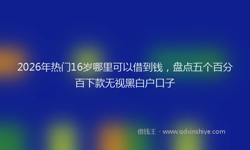 2026年热门16岁哪里可以借到钱，盘点五个百分百下款无视黑白户口子