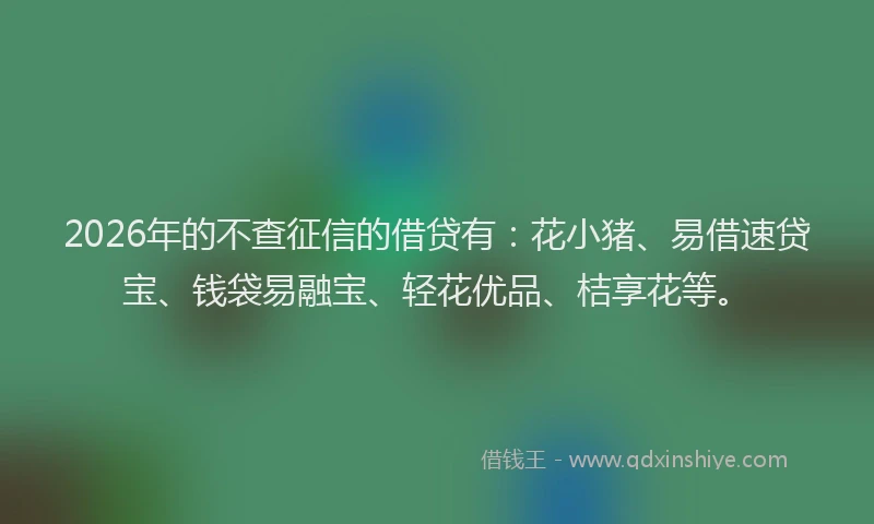 2026年的不查征信的借贷有：花小猪、易借速贷宝、钱袋易融宝、轻花优品、桔享花等。