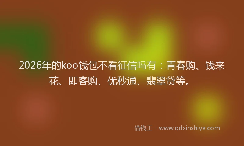 2026年的koo钱包不看征信吗有：青春购、钱来花、即客购、优秒通、翡翠贷等。