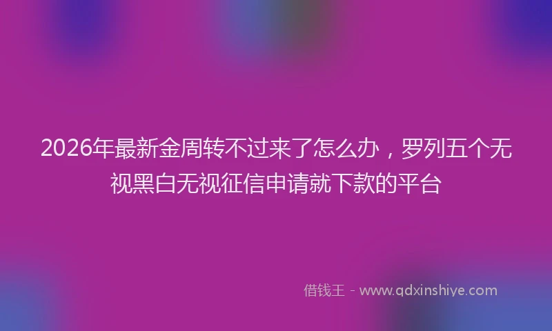 2026年最新金周转不过来了怎么办，罗列五个无视黑白无视征信申请就下款的平台