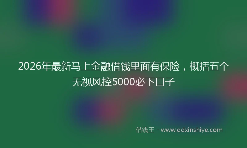 2026年最新马上金融借钱里面有保险，概括五个无视风控5000必下口子