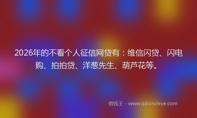2026年的不看个人征信网贷有：维信闪贷、闪电购、拍拍贷、洋葱先生、葫芦花等。