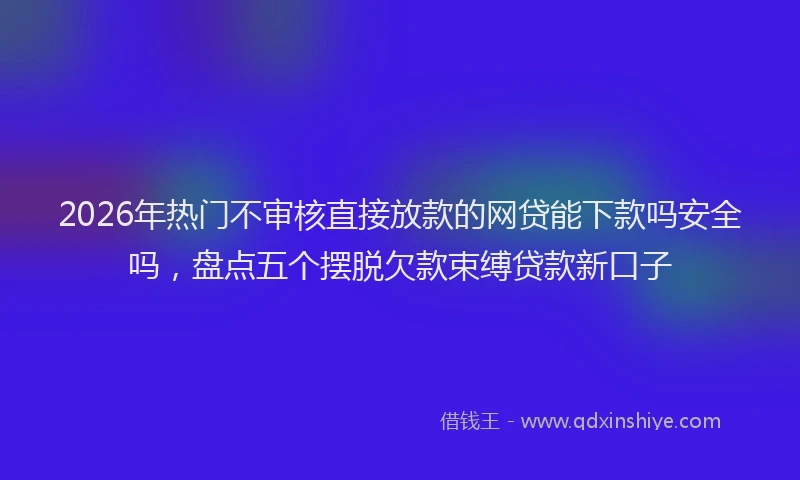 2026年热门不审核直接放款的网贷能下款吗安全吗，盘点五个摆脱欠款束缚贷款新口子