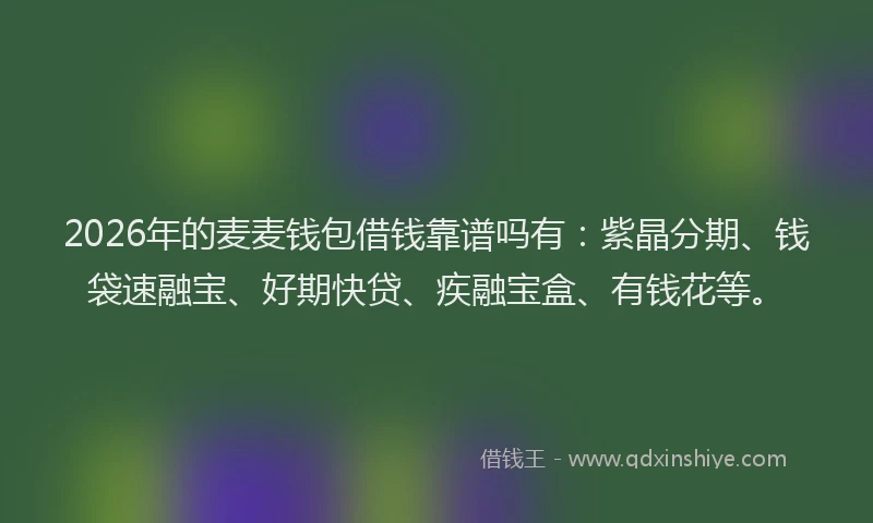 2026年的麦麦钱包借钱靠谱吗有：紫晶分期、钱袋速融宝、好期快贷、疾融宝盒、有钱花等。