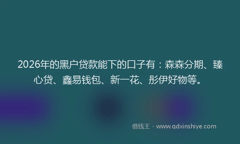 2026年的黑户贷款能下的口子有：森森分期、臻心贷、鑫易钱包、新一花、彤伊好物等。