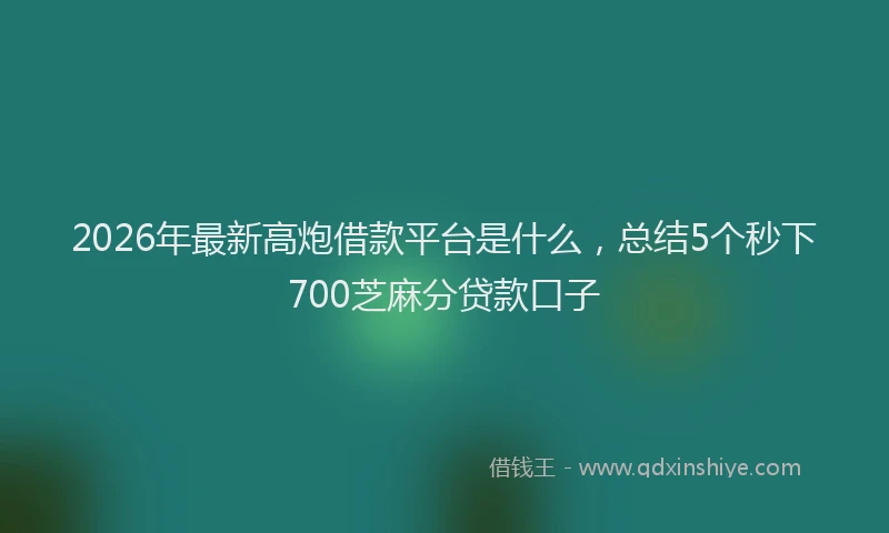 2026年最新高炮借款平台是什么，总结5个秒下700芝麻分贷款口子