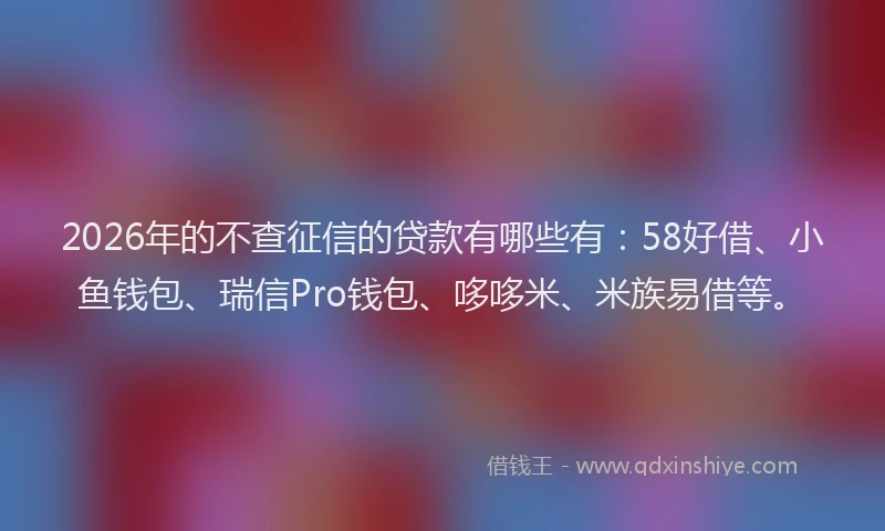 2026年的不查征信的贷款有哪些有：58好借、小鱼钱包、瑞信Pro钱包、哆哆米、米族易借等。