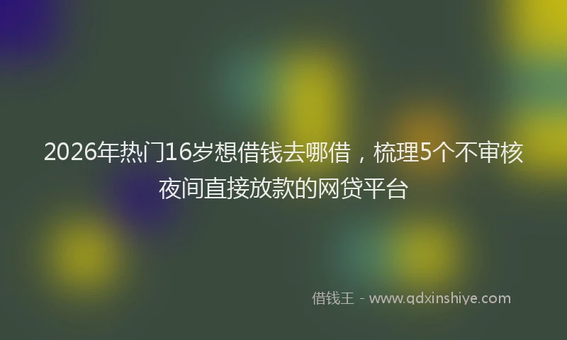 2026年热门16岁想借钱去哪借，梳理5个不审核夜间直接放款的网贷平台