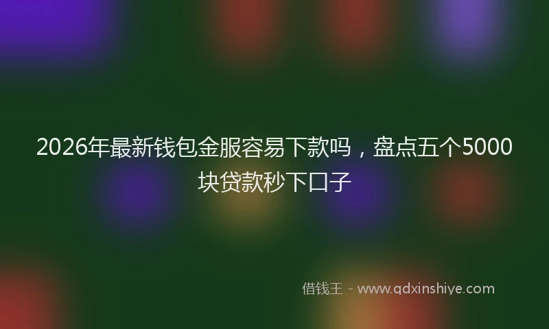2026年最新钱包金服容易下款吗，盘点五个5000块贷款秒下口子