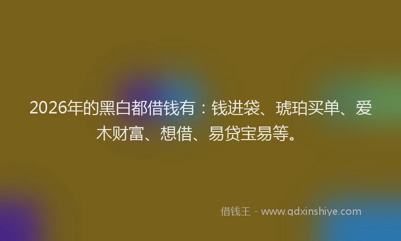 2026年的黑白都借钱有：钱进袋、琥珀买单、爱木财富、想借、易贷宝易等。