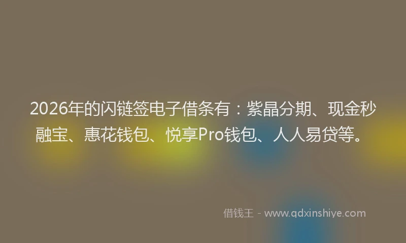 2026年的闪链签电子借条有：紫晶分期、现金秒融宝、惠花钱包、悦享Pro钱包、人人易贷等。